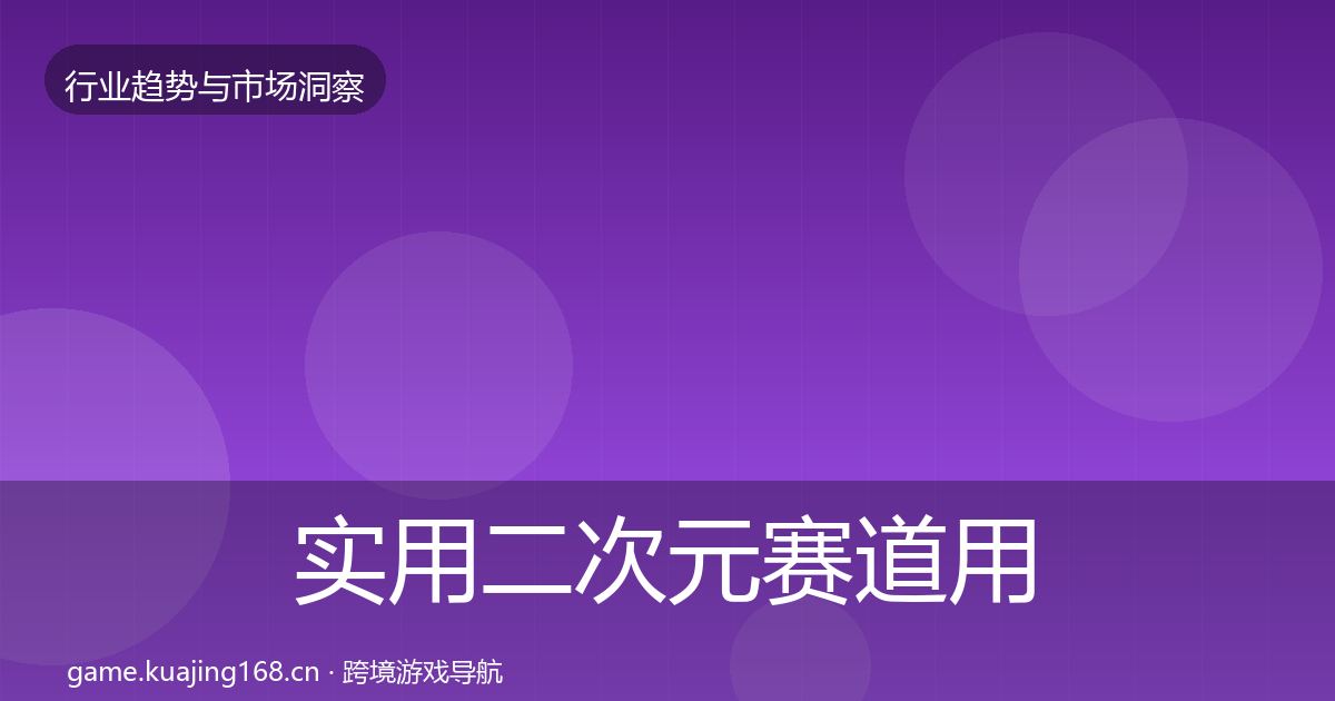 实用二次元赛道用户画像