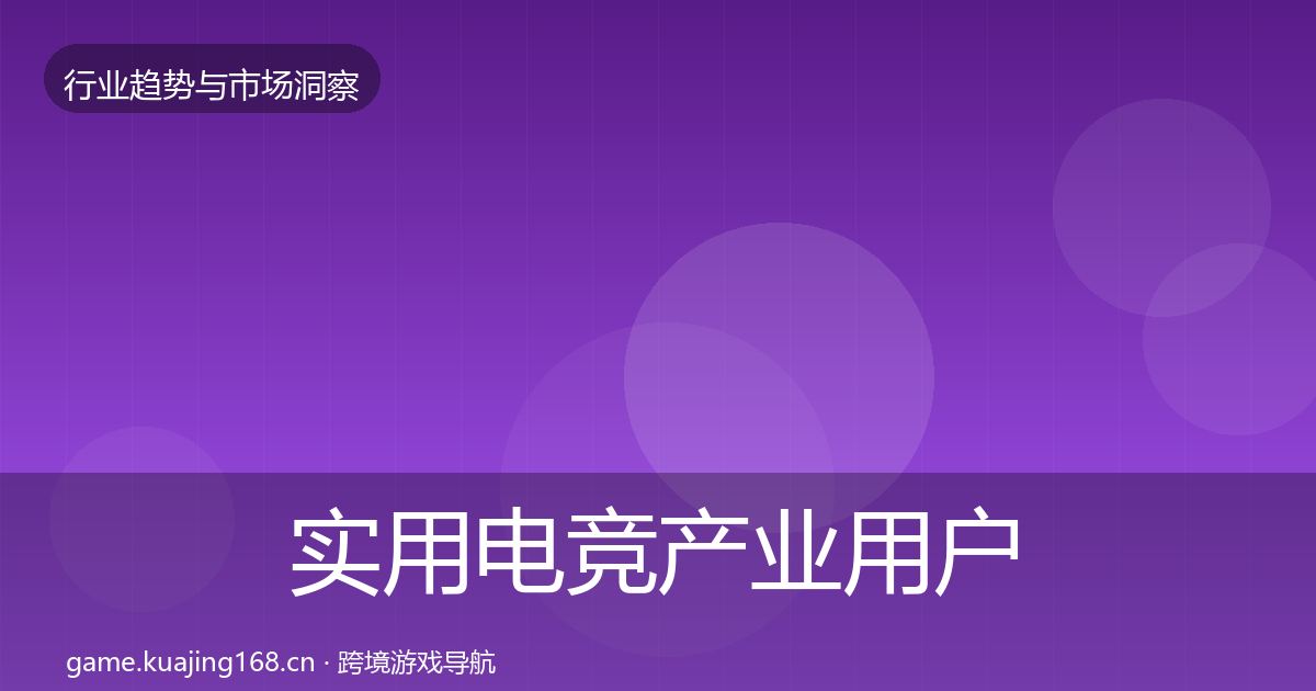 实用电竞产业用户画像