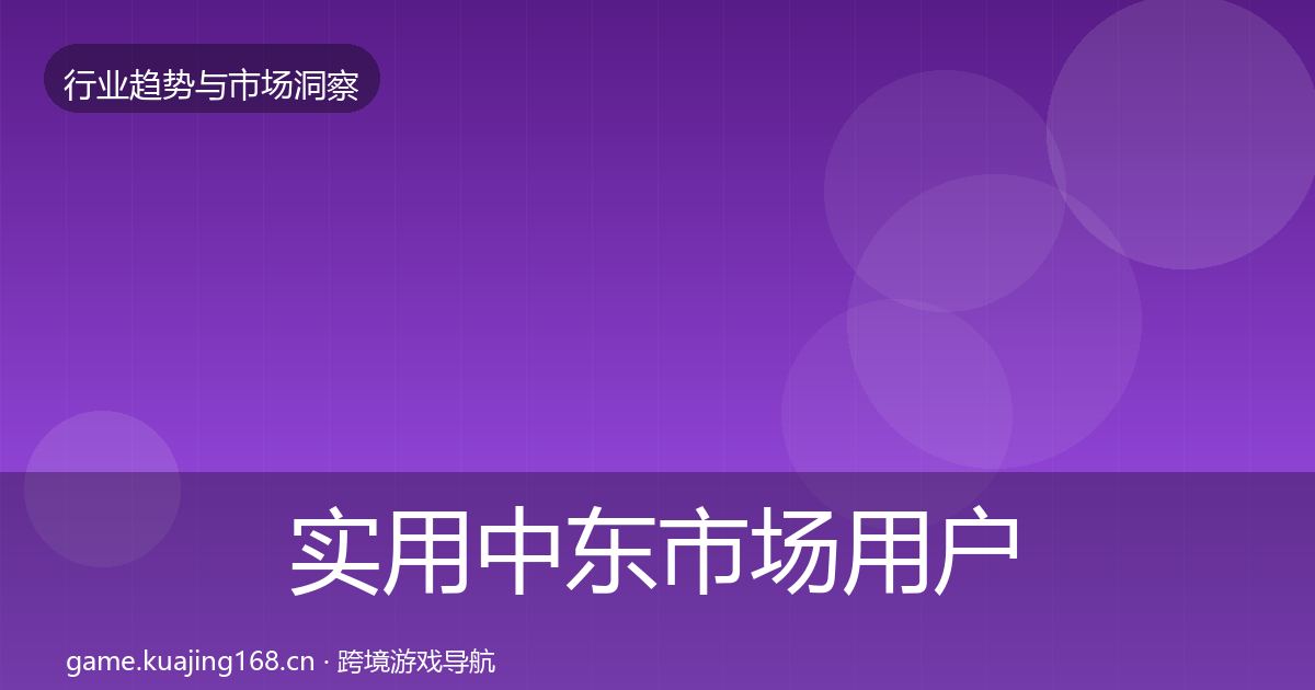 实用中东市场用户画像