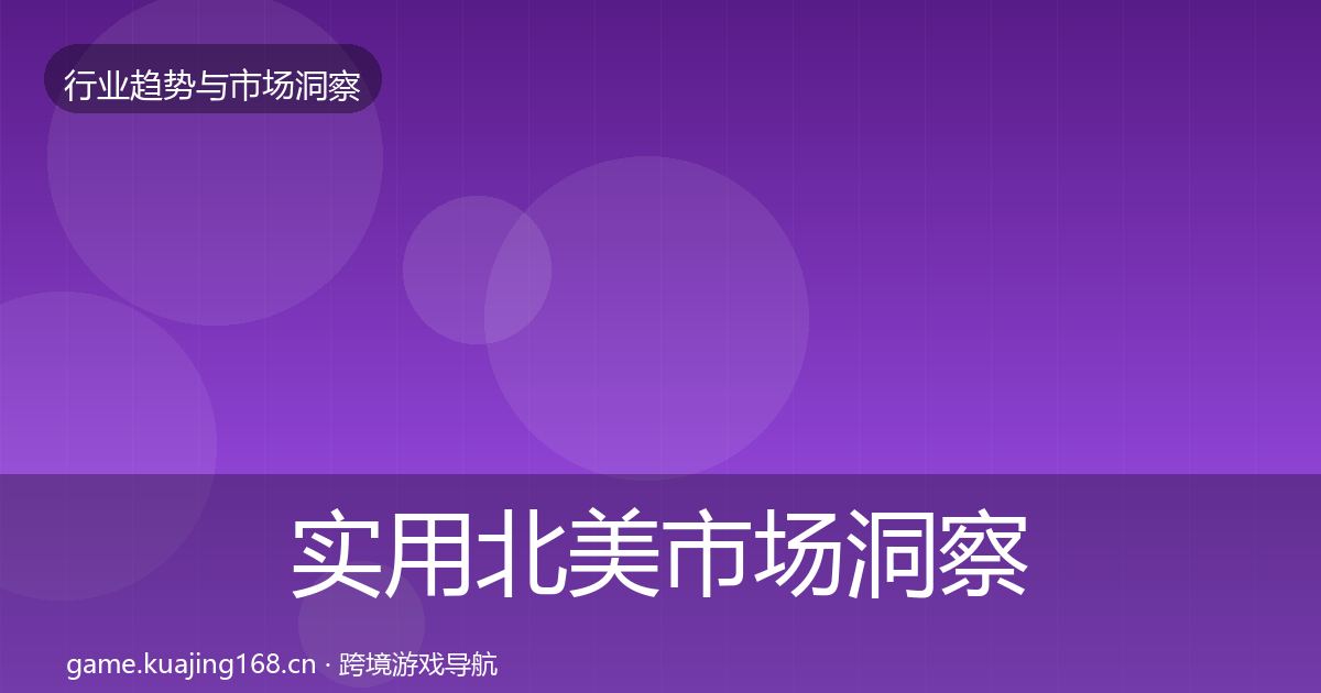 实用北美市场洞察