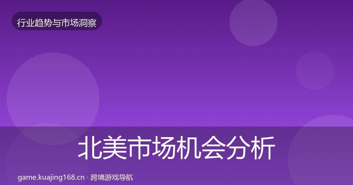 北美市场机会分析全指南：全面