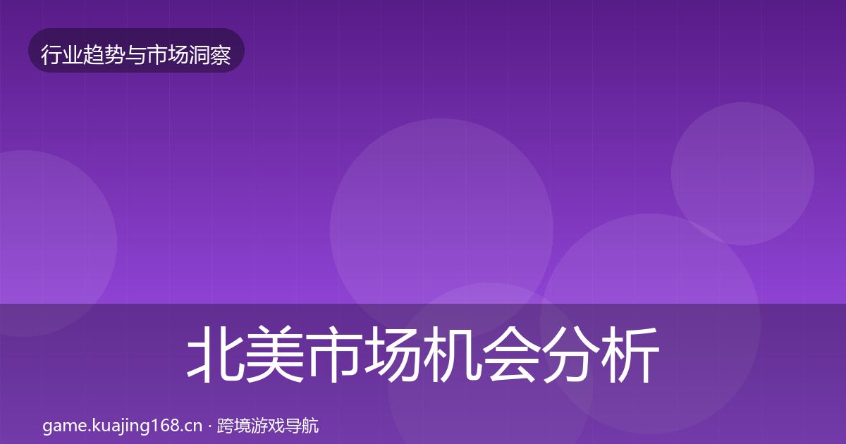 北美市场机会分析全指南：深度