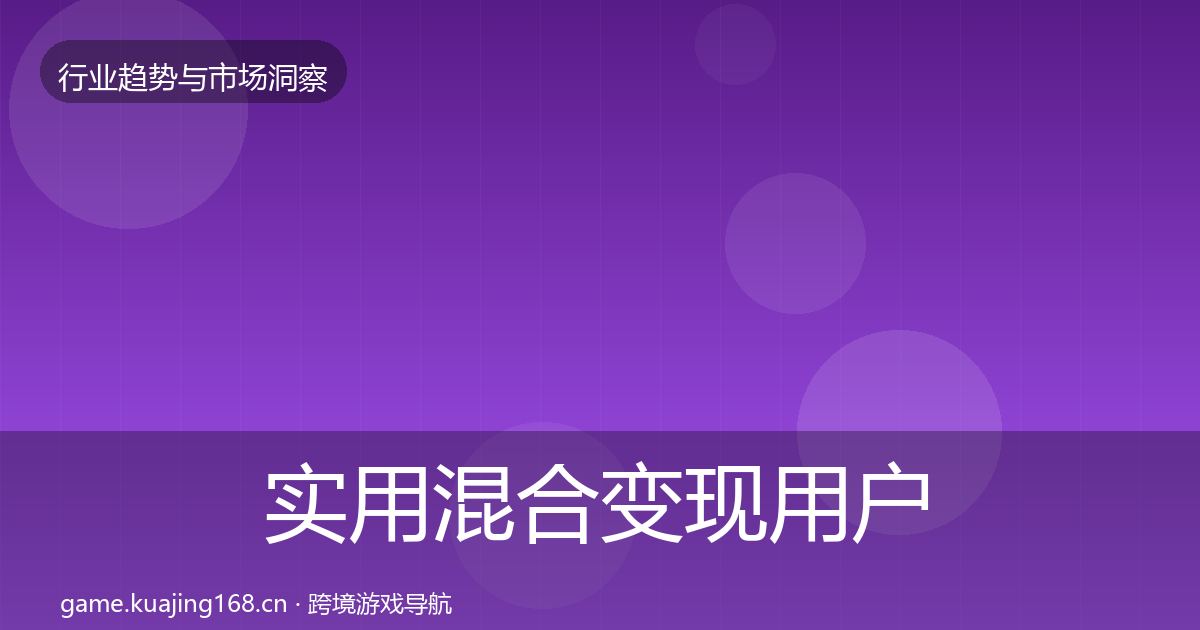 实用混合变现用户画像