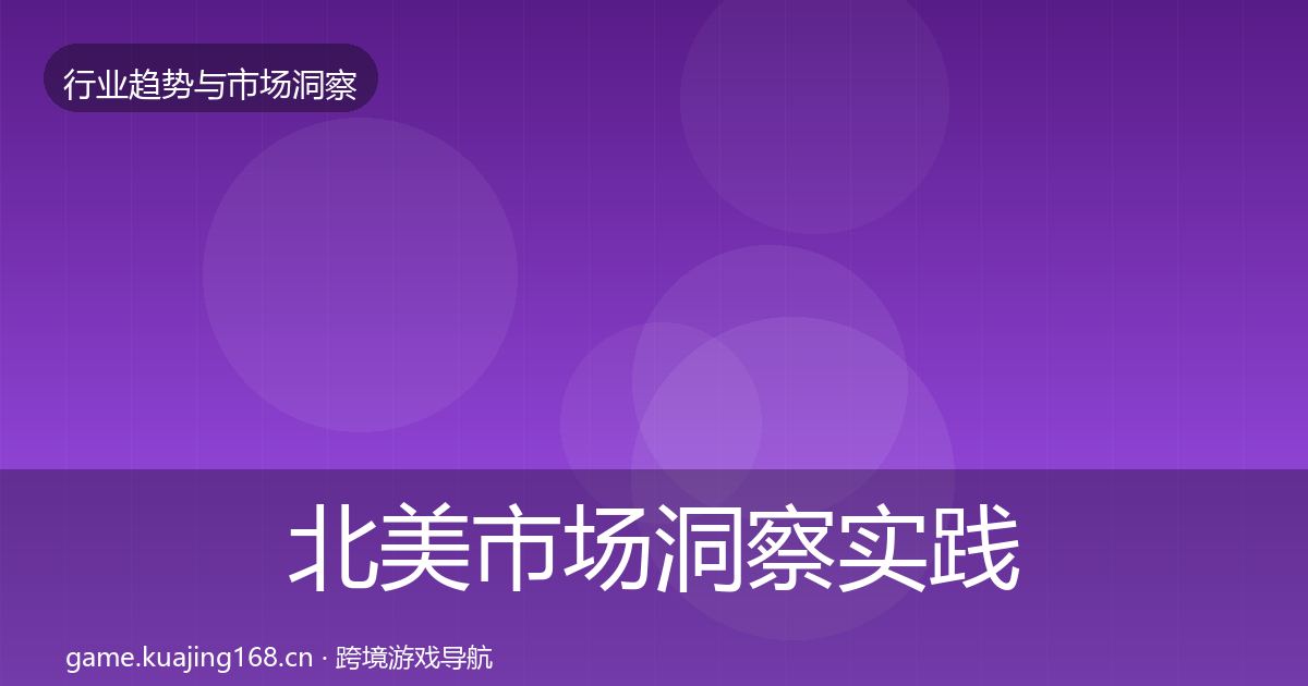 北美市场洞察实践指南·第2004篇