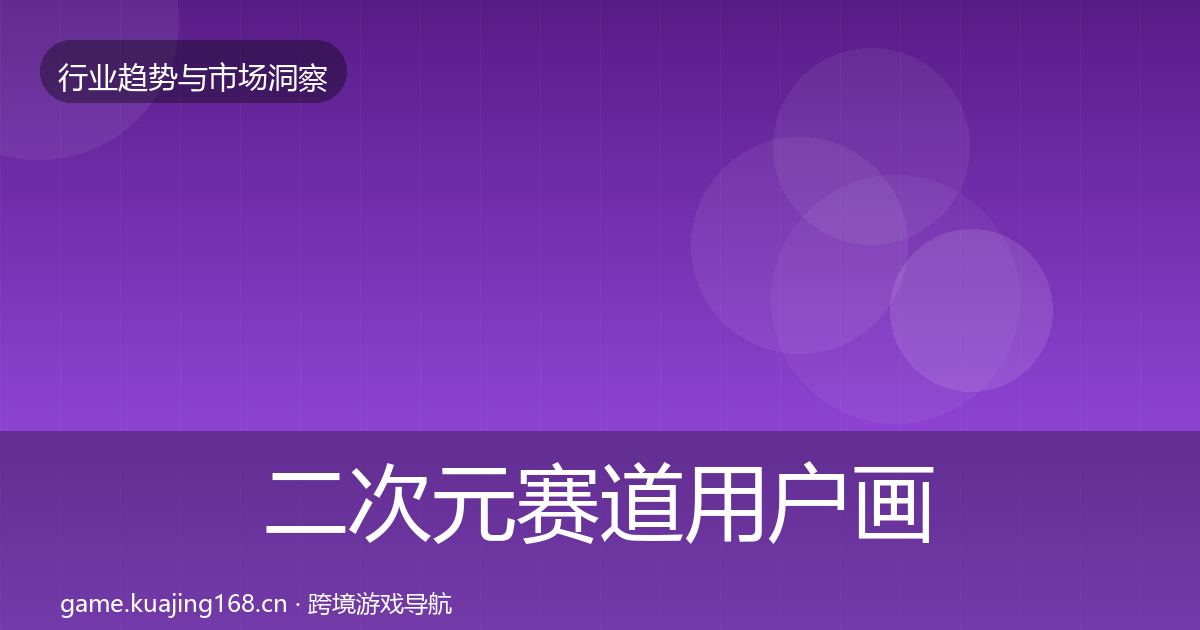 二次元赛道用户画像实践指南·第2307篇