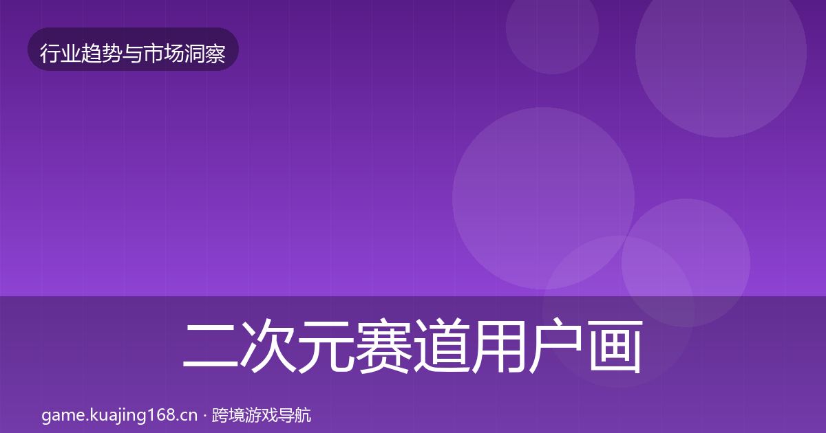 二次元赛道用户画像实践指南·第2347篇