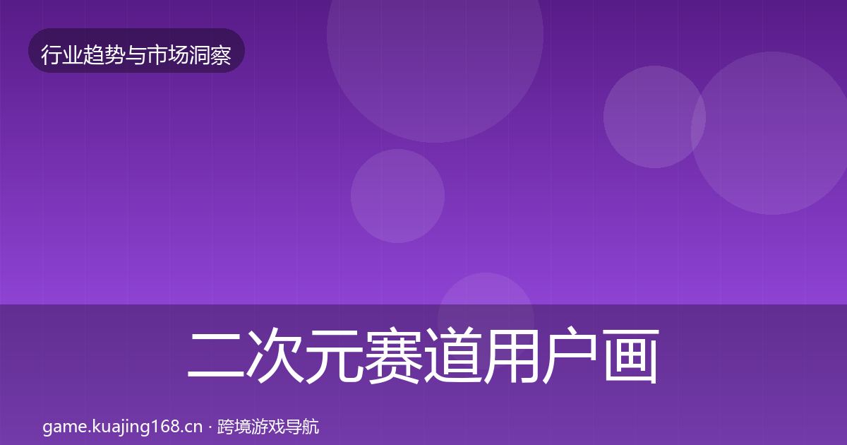 二次元赛道用户画像实践指南·第2907篇
