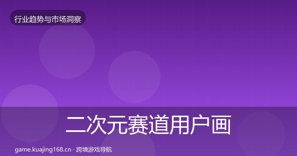 二次元赛道用户画像实践指南