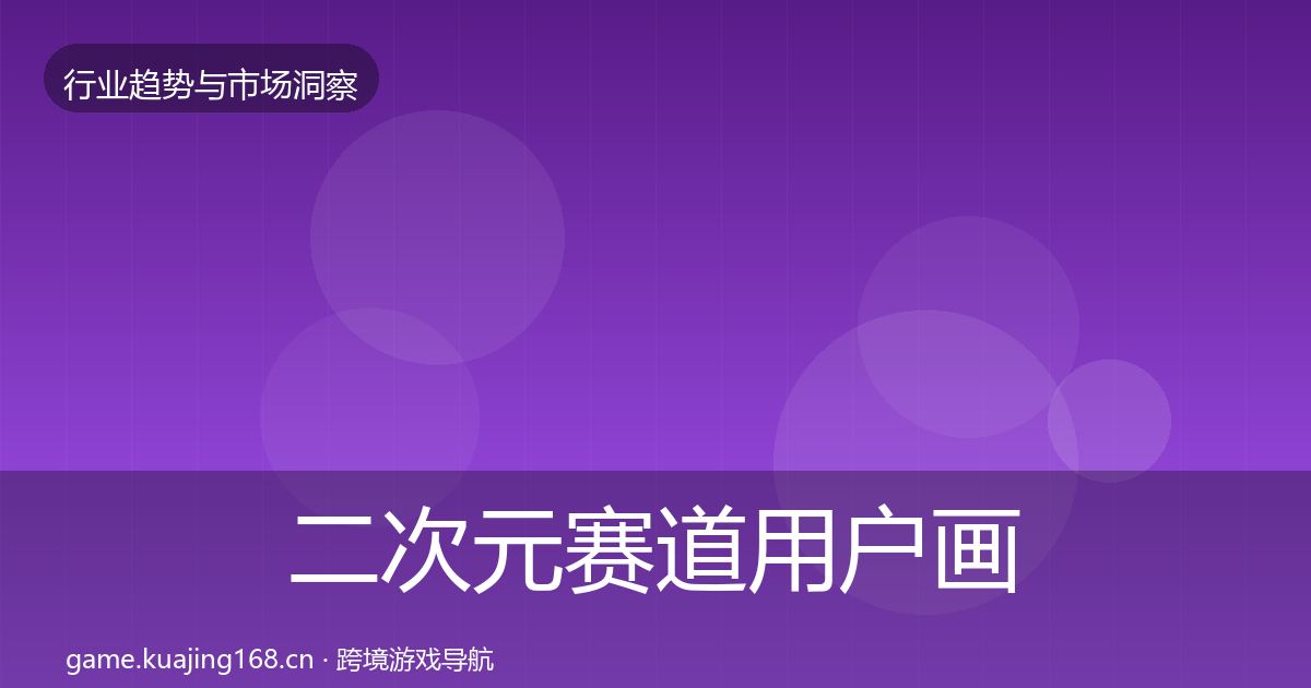 二次元赛道用户画像实践指南