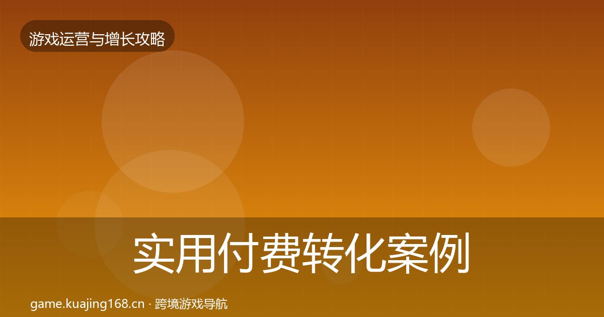 实用付费转化案例分析