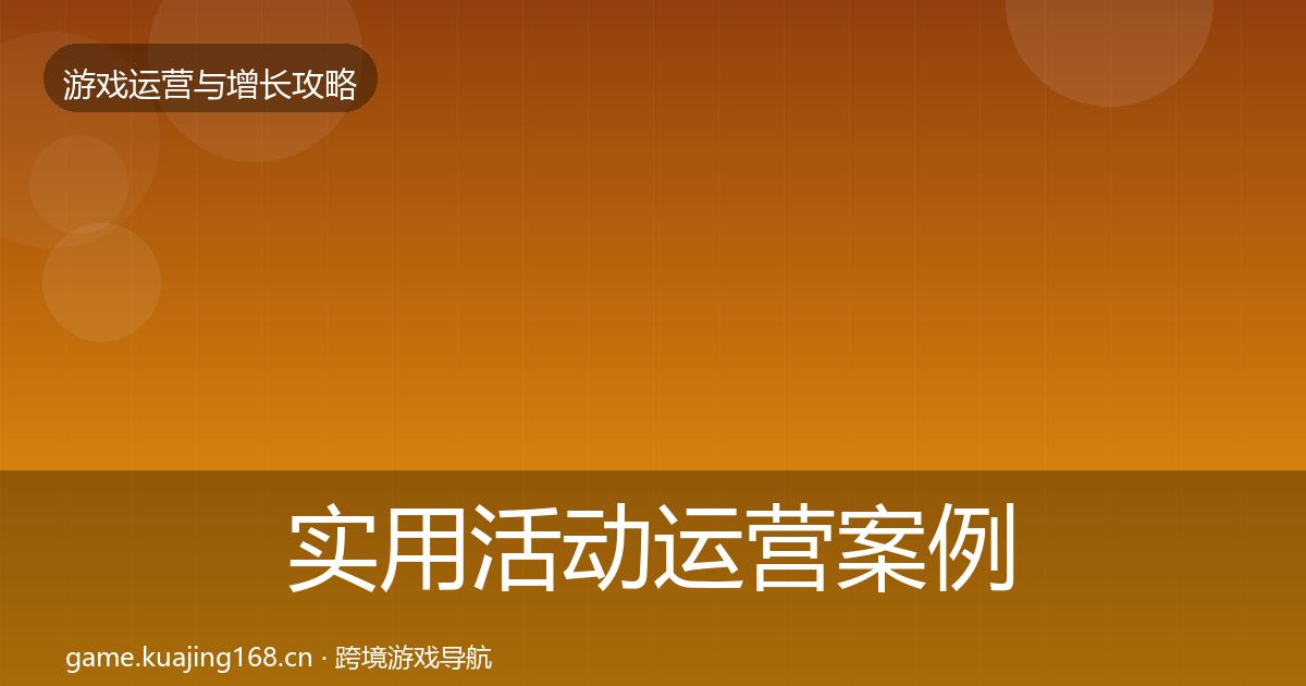 实用活动运营案例分析