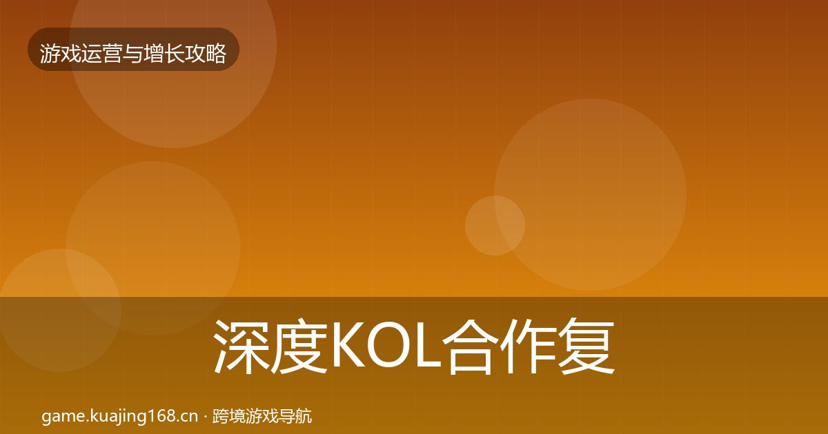 深度KOL合作复盘总结