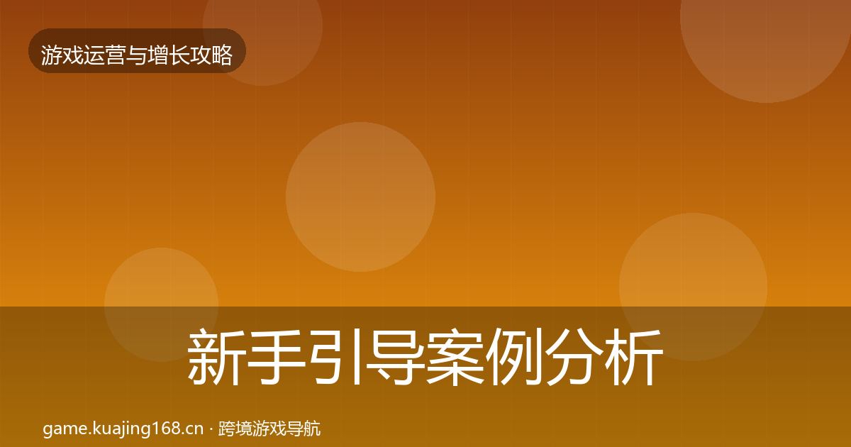 新手引导案例分析入门到进阶·第13篇
