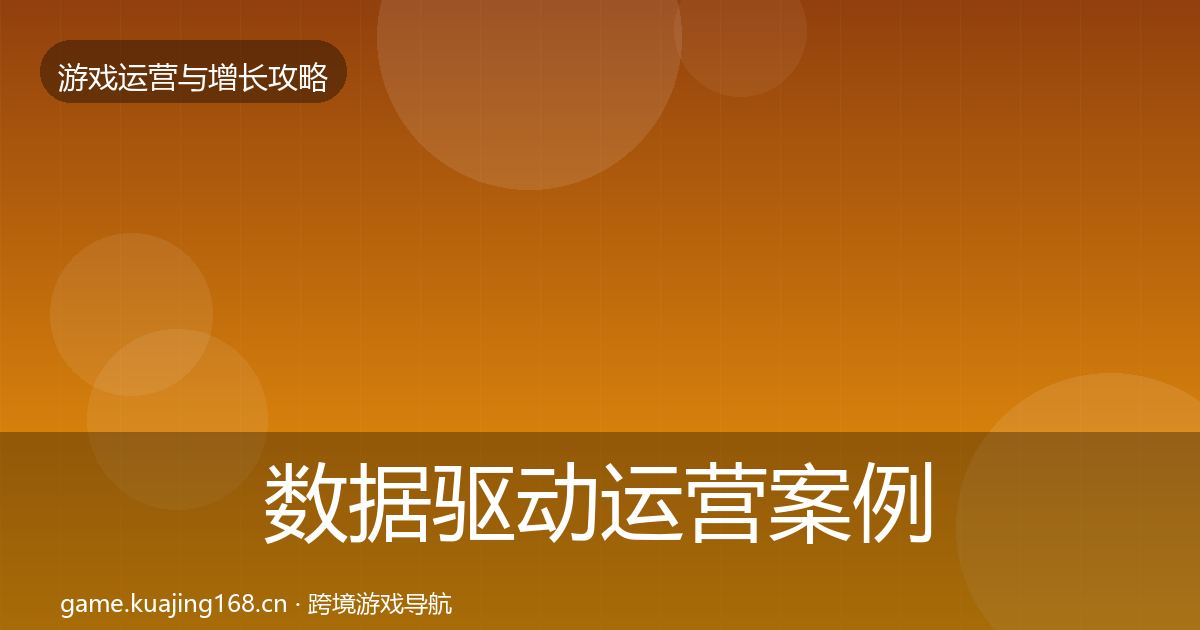 数据驱动运营案例分析实践指南·第2013篇
