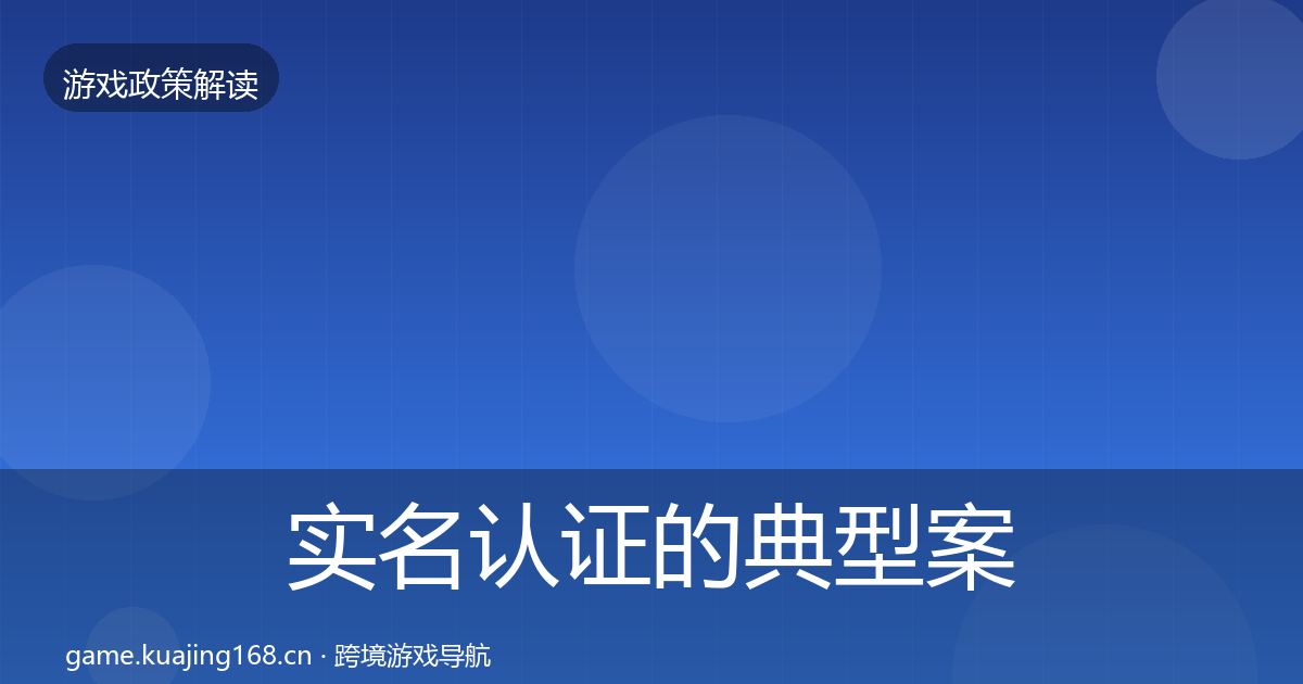 实名认证的典型案例解析(2027年)