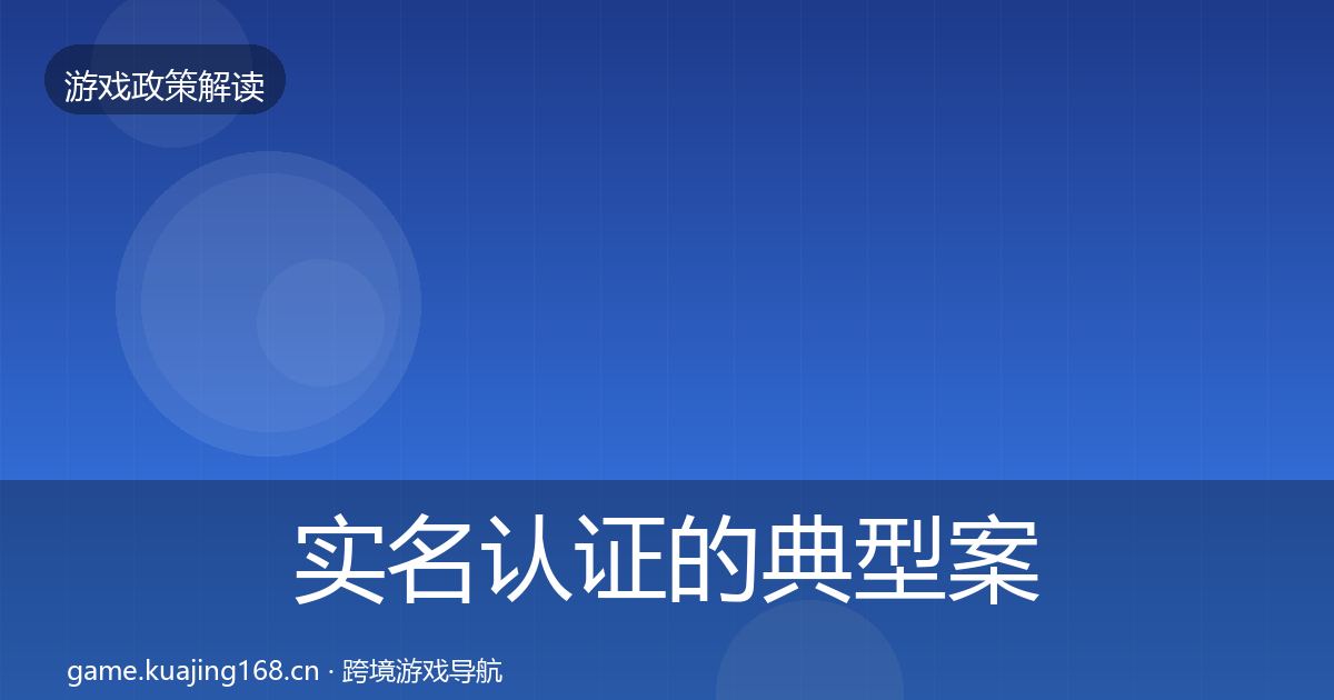 实名认证的典型案例解析（实用）