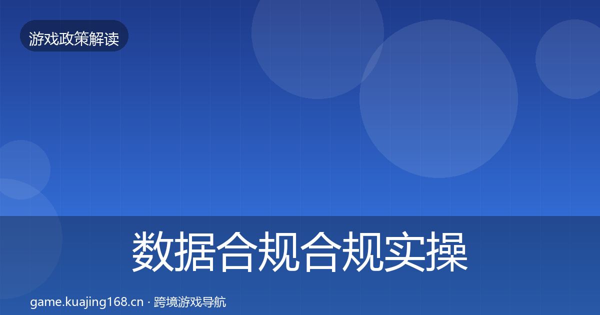 数据合规合规实操指南要点梳理·第11篇