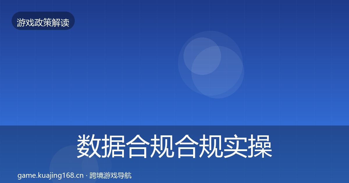 数据合规合规实操指南要点梳理·第491篇