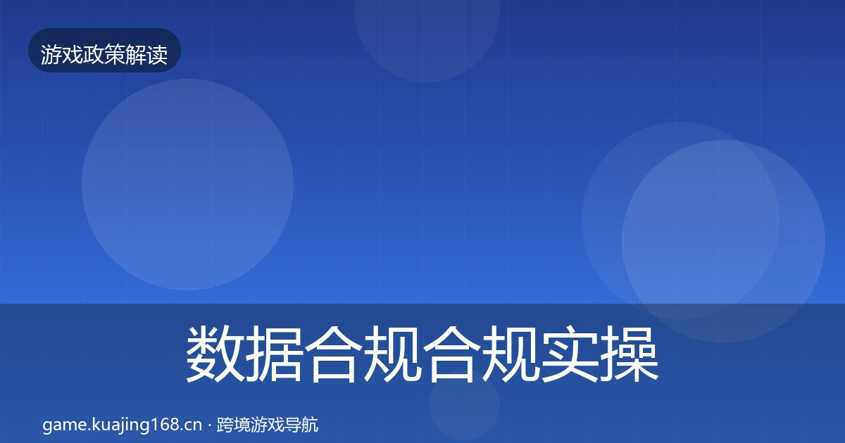数据合规合规实操指南要点梳理·第691篇