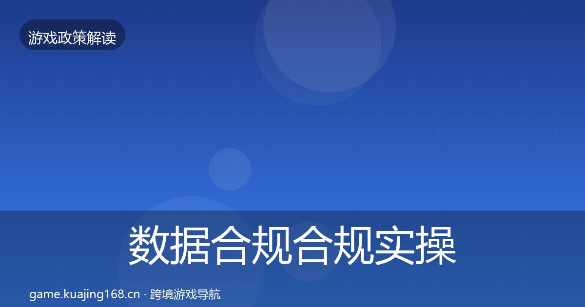 数据合规合规实操指南要点梳理·第1211篇
