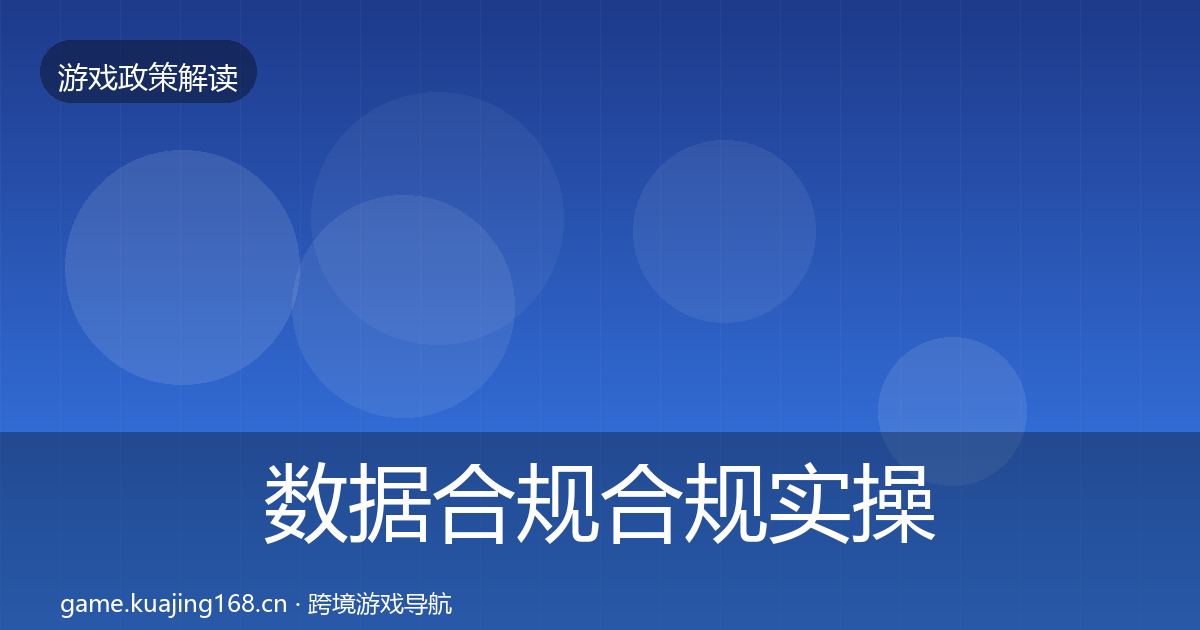 数据合规合规实操指南要点梳理·第2011篇