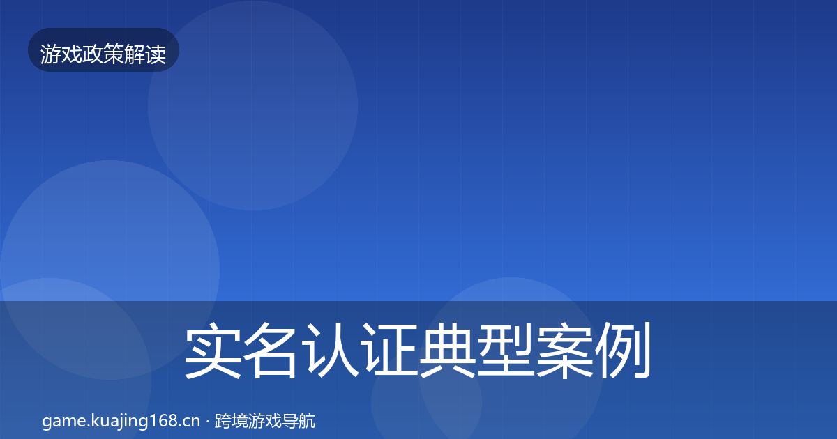 实名认证典型案例解析要点梳理·第2023篇