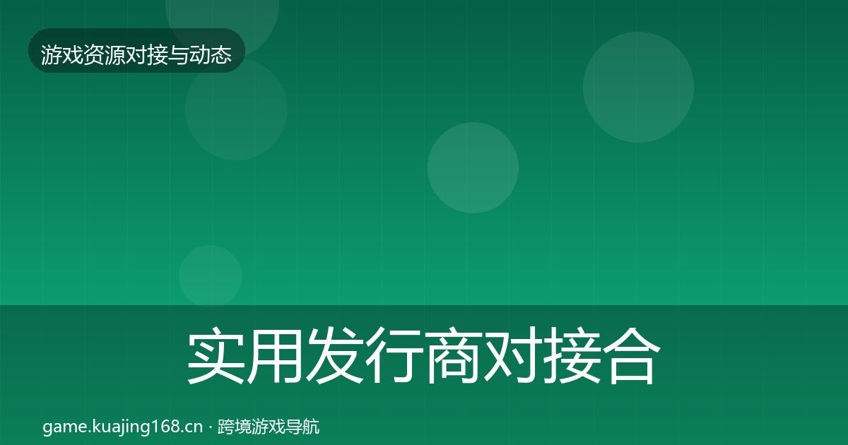 实用发行商对接合作案例
