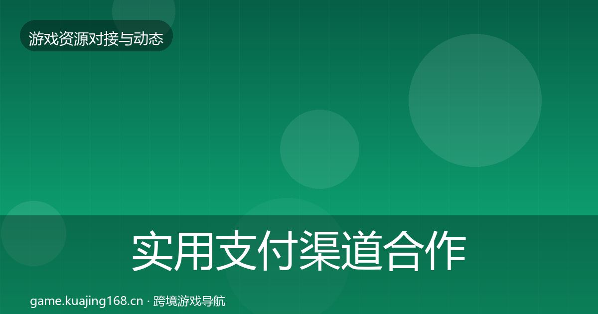 实用支付渠道合作案例