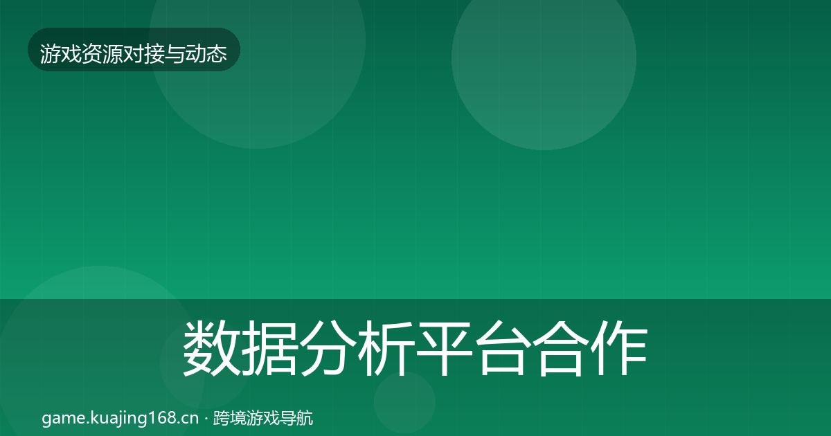 数据分析平台合作案例实践指南·第1033篇