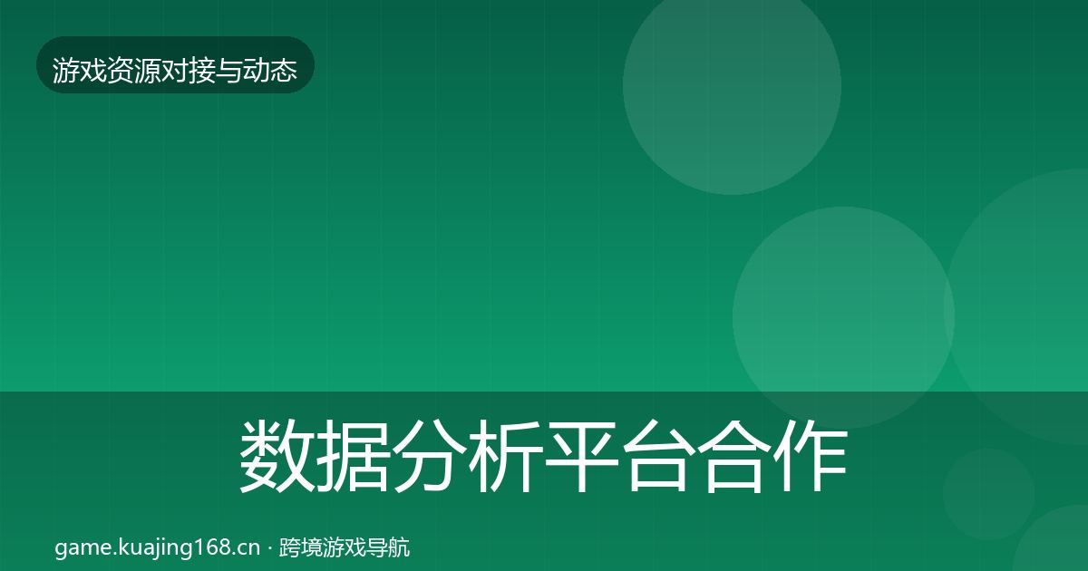 数据分析平台合作案例实践指南·第1313篇