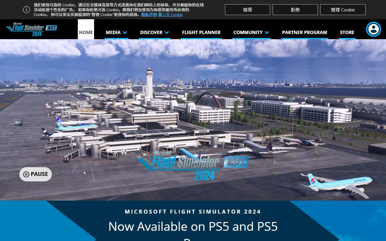 Flight Simulator